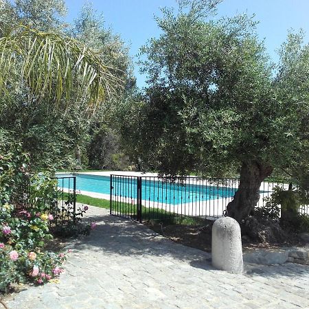 La Bastide de l'Oliveraie Le Castellet  Exterior foto