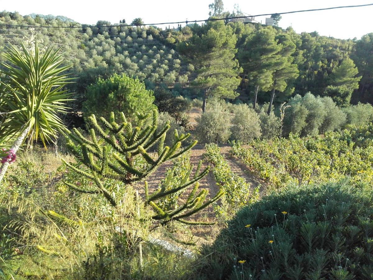 La Bastide de l'Oliveraie Le Castellet  Exterior foto