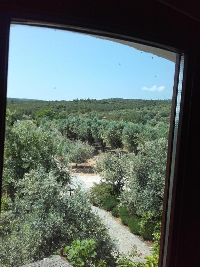 La Bastide de l'Oliveraie Le Castellet  Exterior foto